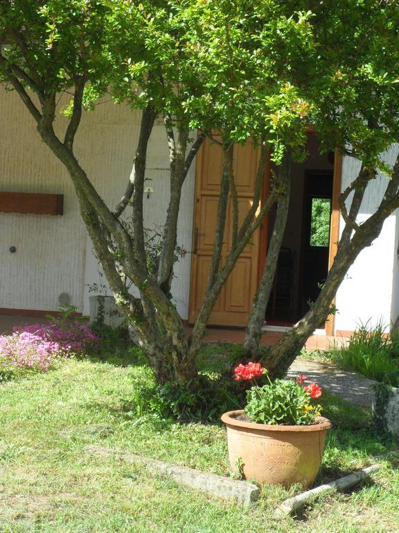 B&B Cuei Di Baret Tricesimo Luaran gambar